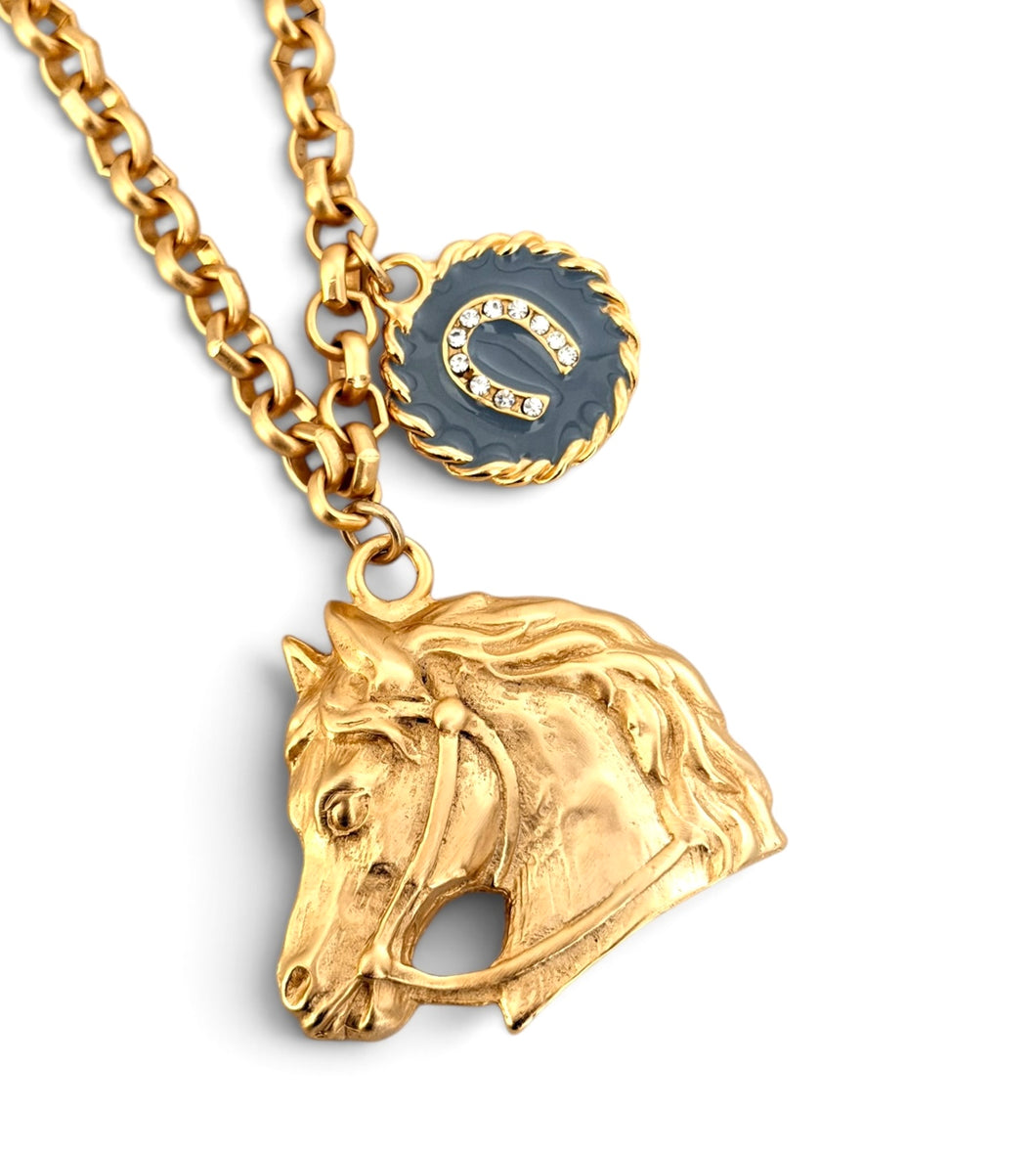 Horse Head with Horse Shoe Charm in Gray with Estefania Chain Short Necklace 20-22”