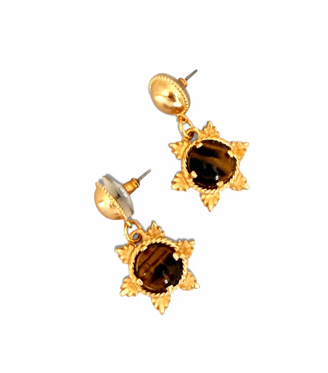 Star Rays Tiger Eye Earring