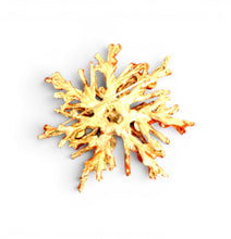 CORAL with Turquoise Color & White Pearl Snowflake Coral Like 🪸 Statement BROOCH 🧷 Approx 3.5” in GOLD ⭐️